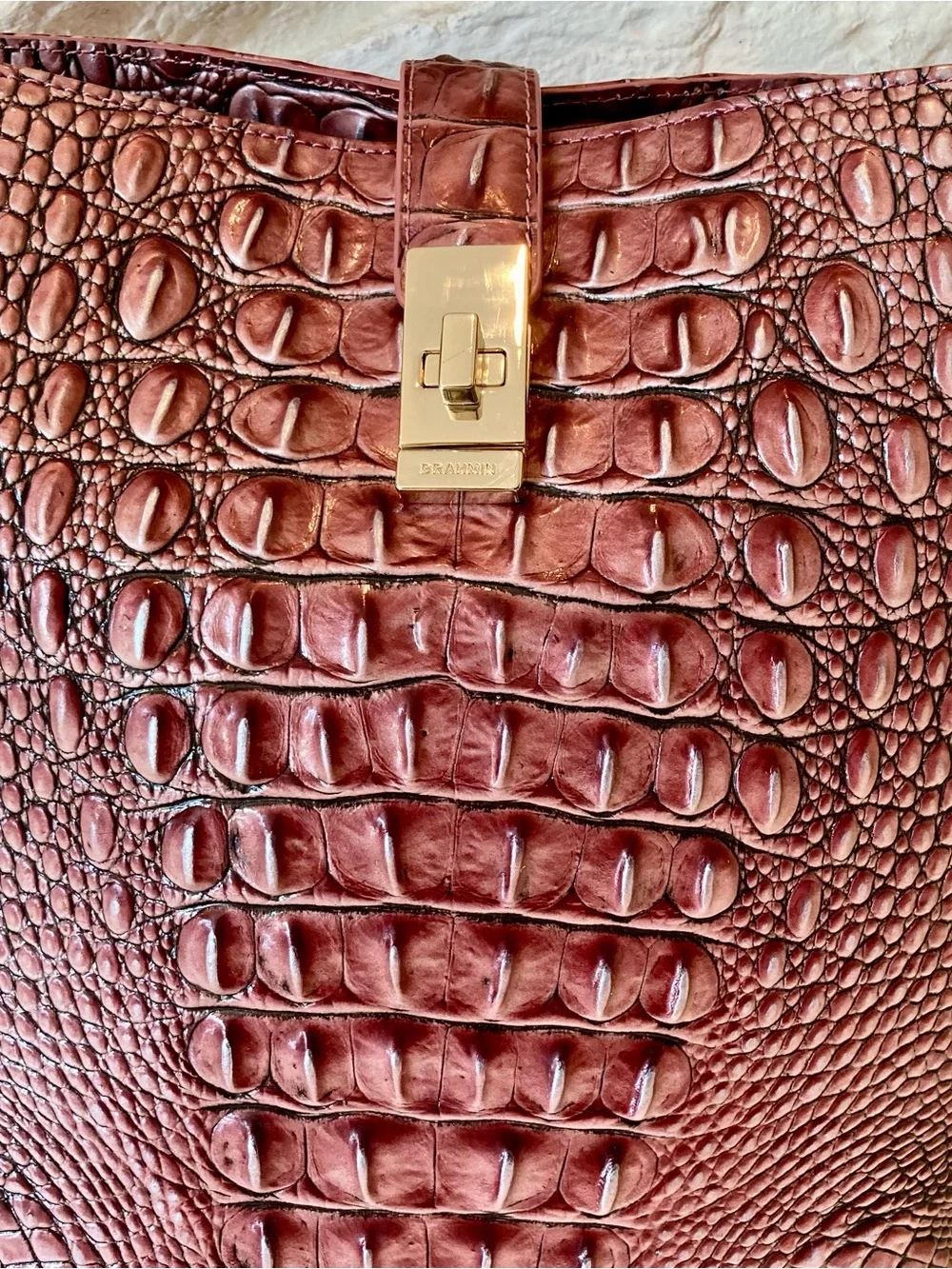 Brahmin nwt dustbag